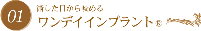 ワンデイインプラントR